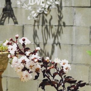 Meet your Posher, Bianca